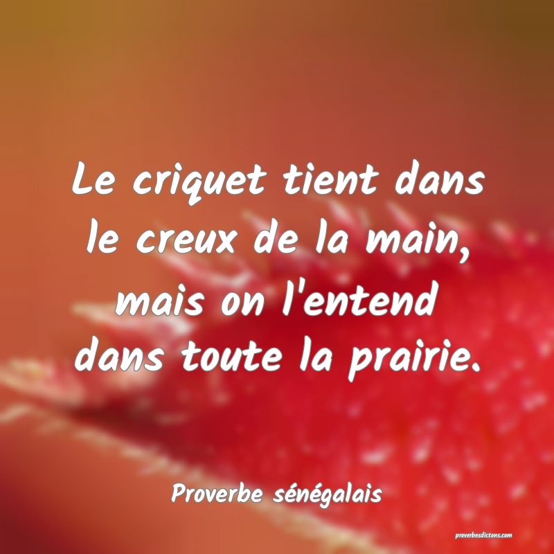  Le criquet tient dans le creux de la main, mais on l'entend dans toute la prairie.
