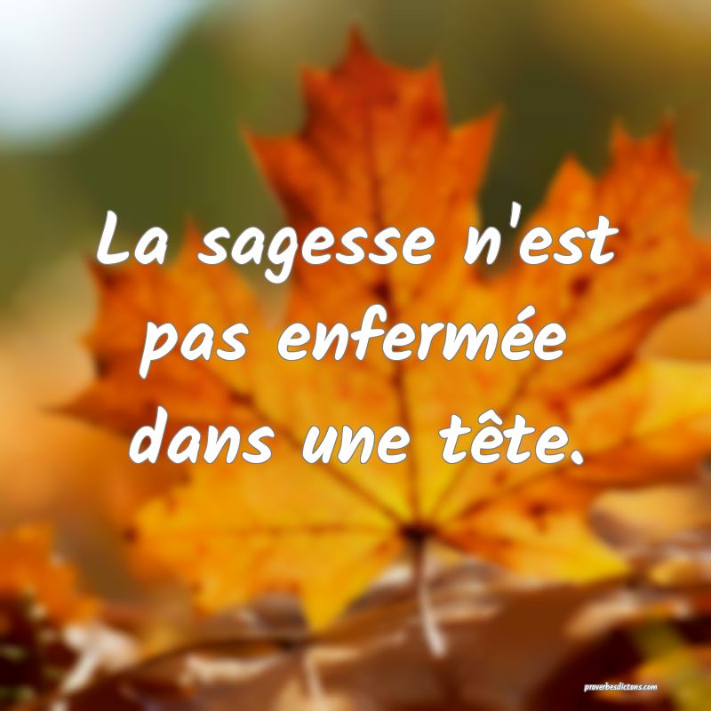 La sagesse n'est pas enfermée dans une tête.