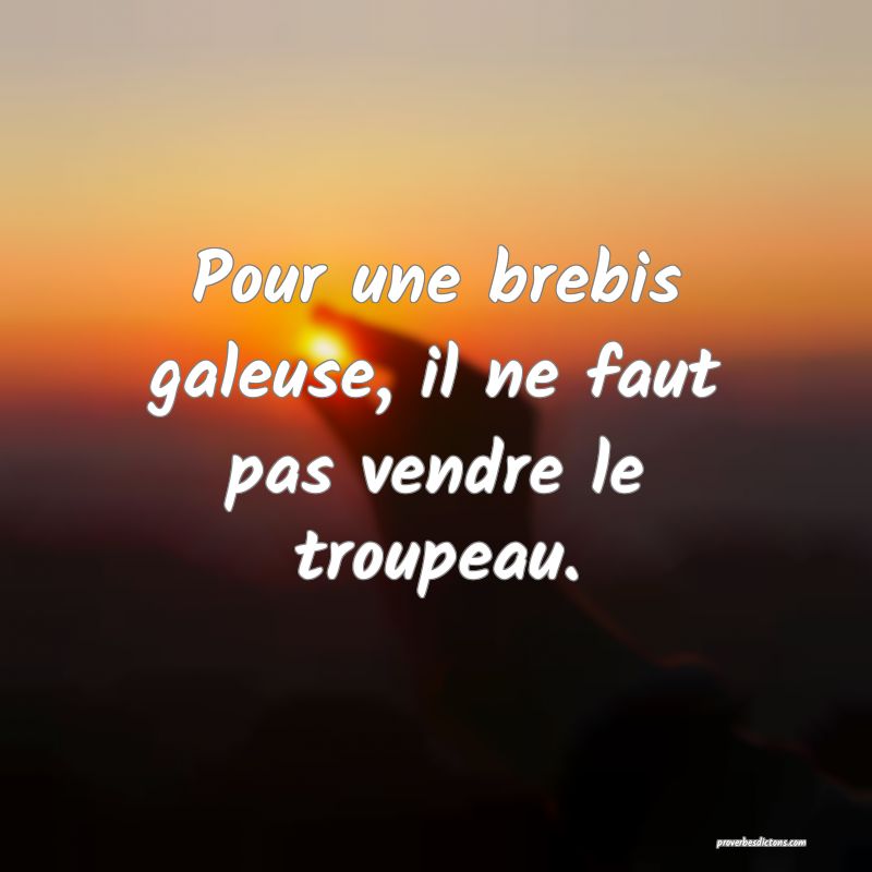 Pour une brebis galeuse, il ne faut pas vendre le troupeau.