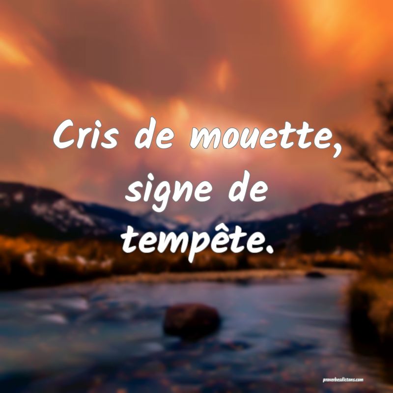 Cris de mouette, signe de tempête.