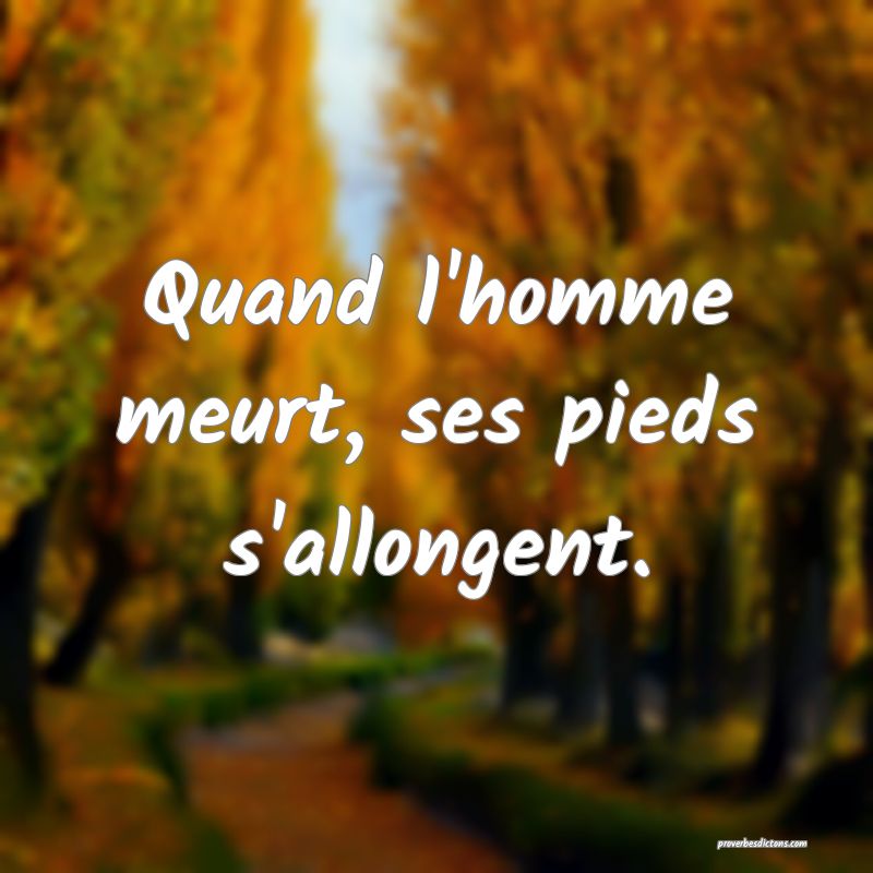 Quand l'homme meurt, ses pieds s'allongent.