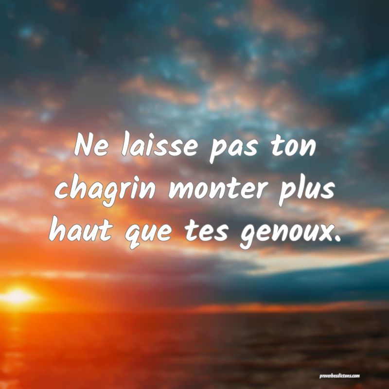 Ne laisse pas ton chagrin monter plus haut que tes genoux.