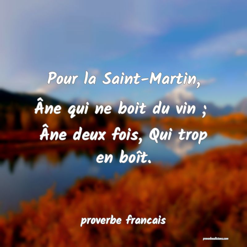 Pour la Saint-Martin, Âne qui ne boit du vin ; 
Âne deux fois, Qui trop en boît.