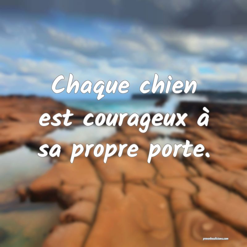 Chaque chien est courageux à sa propre porte.