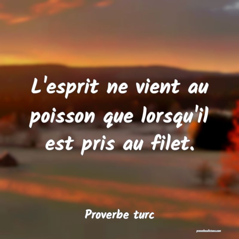 L'esprit ne vient au poisson que lorsqu'il est pris au filet.