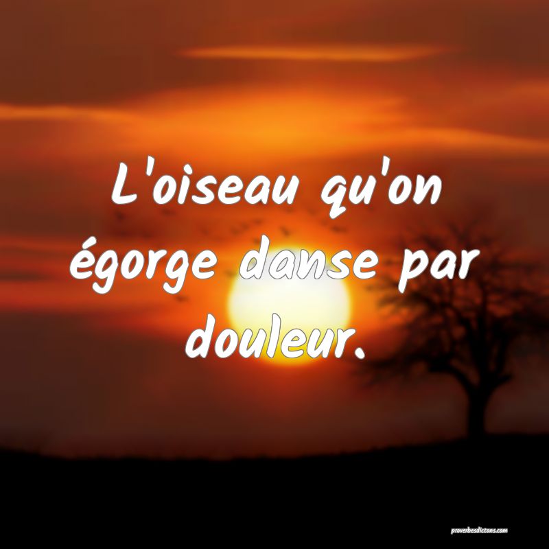 L'oiseau qu'on égorge danse par douleur.