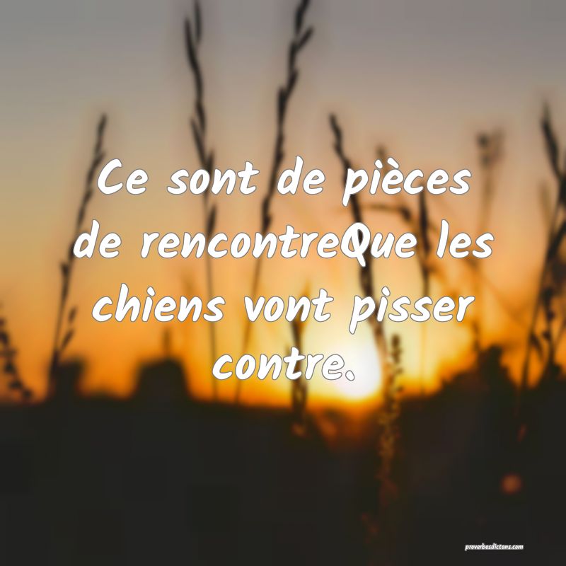 Ce sont de pièces de rencontreQue les chiens vont pisser contre.