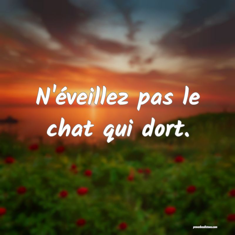 N'éveillez pas le chat qui dort.