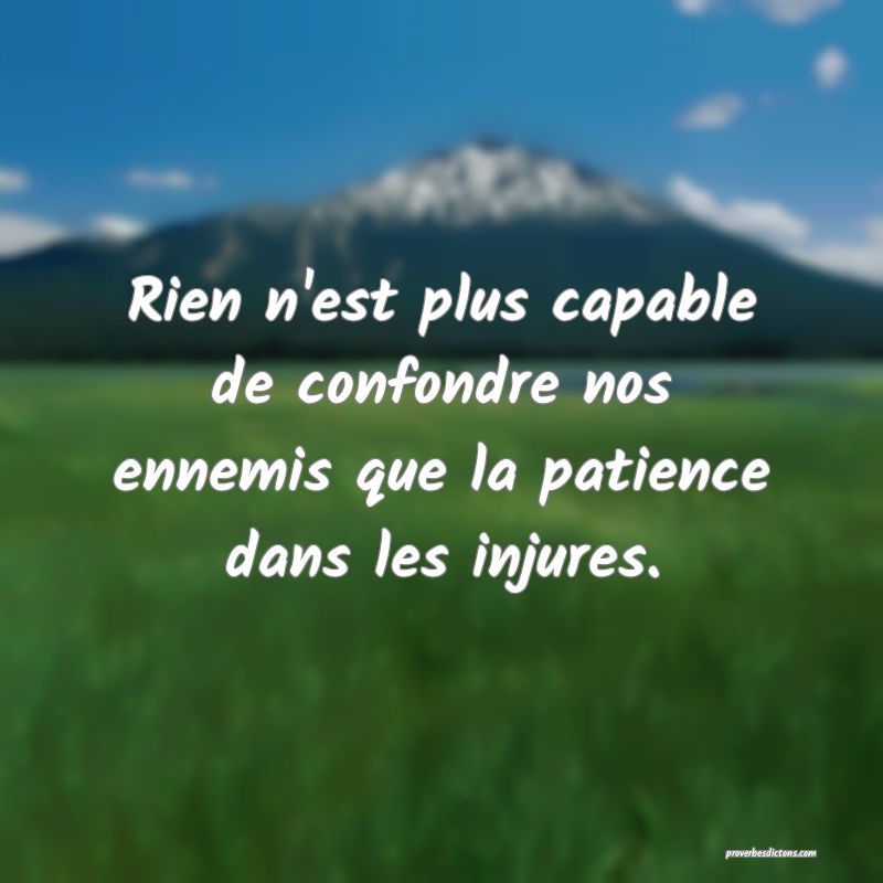 Rien n'est plus capable de confondre nos ennemis que la patience dans les injures.