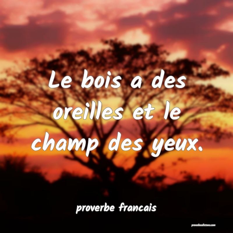 Le bois a des oreilles et le champ des yeux.