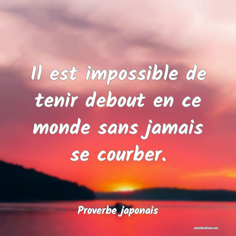 Il est impossible de tenir debout en ce monde sans jamais se courber.
